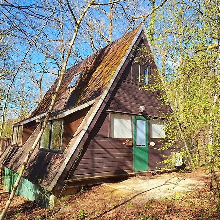 דורבורי Chalet 139 Hakuna Matata מראה חיצוני תמונה