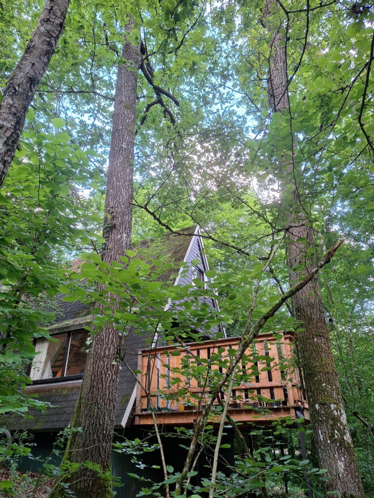 דורבורי Chalet 139 Hakuna Matata מראה חיצוני תמונה